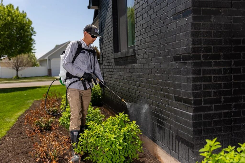 The Role of an Exterminator in Sydney