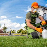 The Role of an Exterminator in Sydney: What to Expect